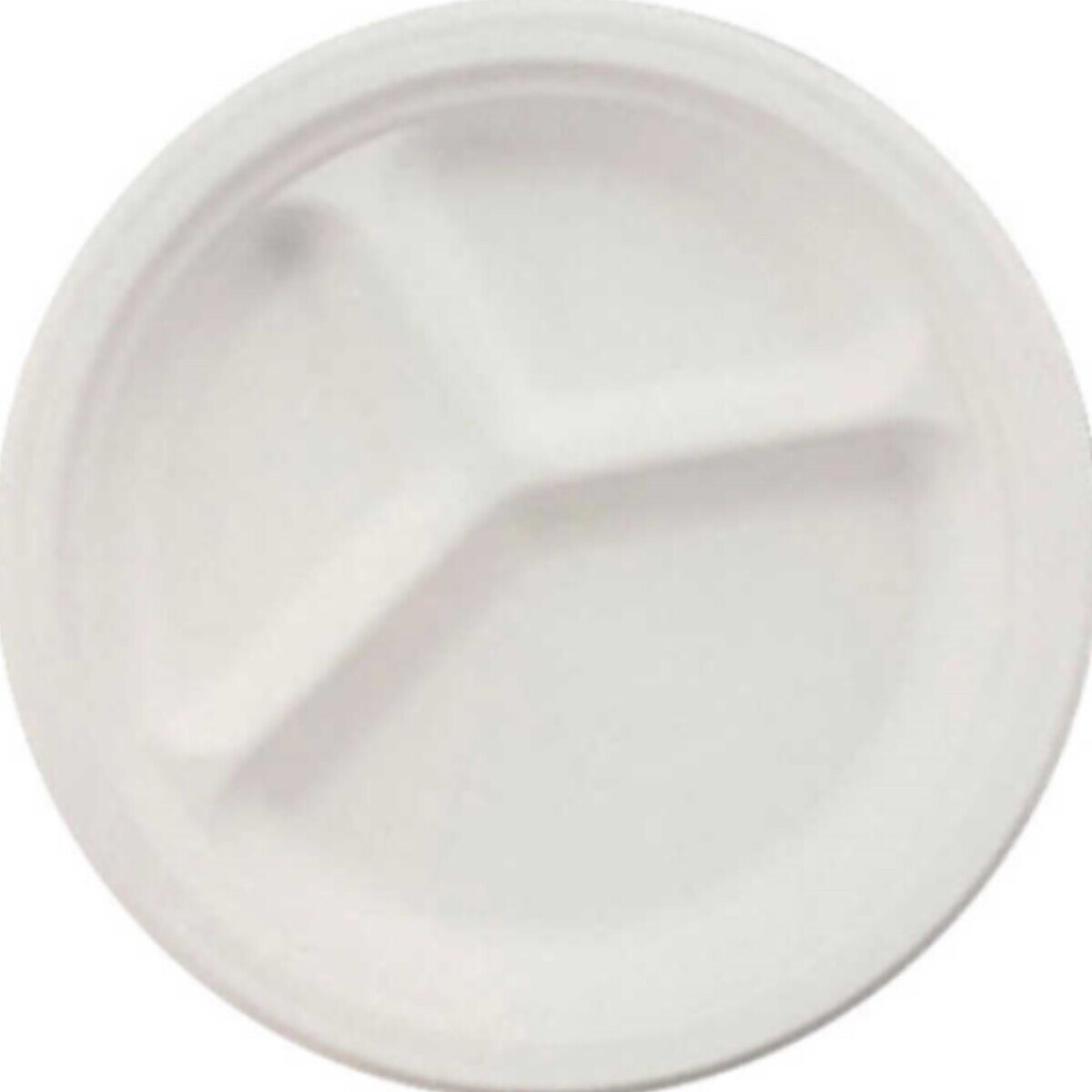 チャイネット 仕切り付きプレート 直径26 4cm X 165枚 Costco Japan