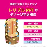 TOTTIMO!　カラーシャンプー 500mL x 2