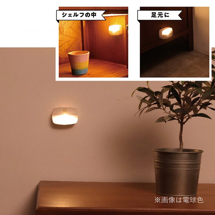 7Life 壁付け人感センサー ライト電球色