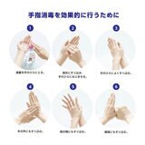 ケンエー 手ピカジェルPRO 500ml x 2 ケンエー 手ピカジェルPRO 500ml x 2