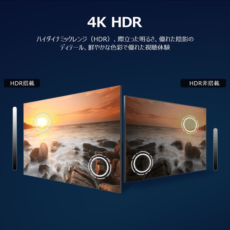 TCL 55インチ 4K 液晶テレビ 55P61K | Costco Japan