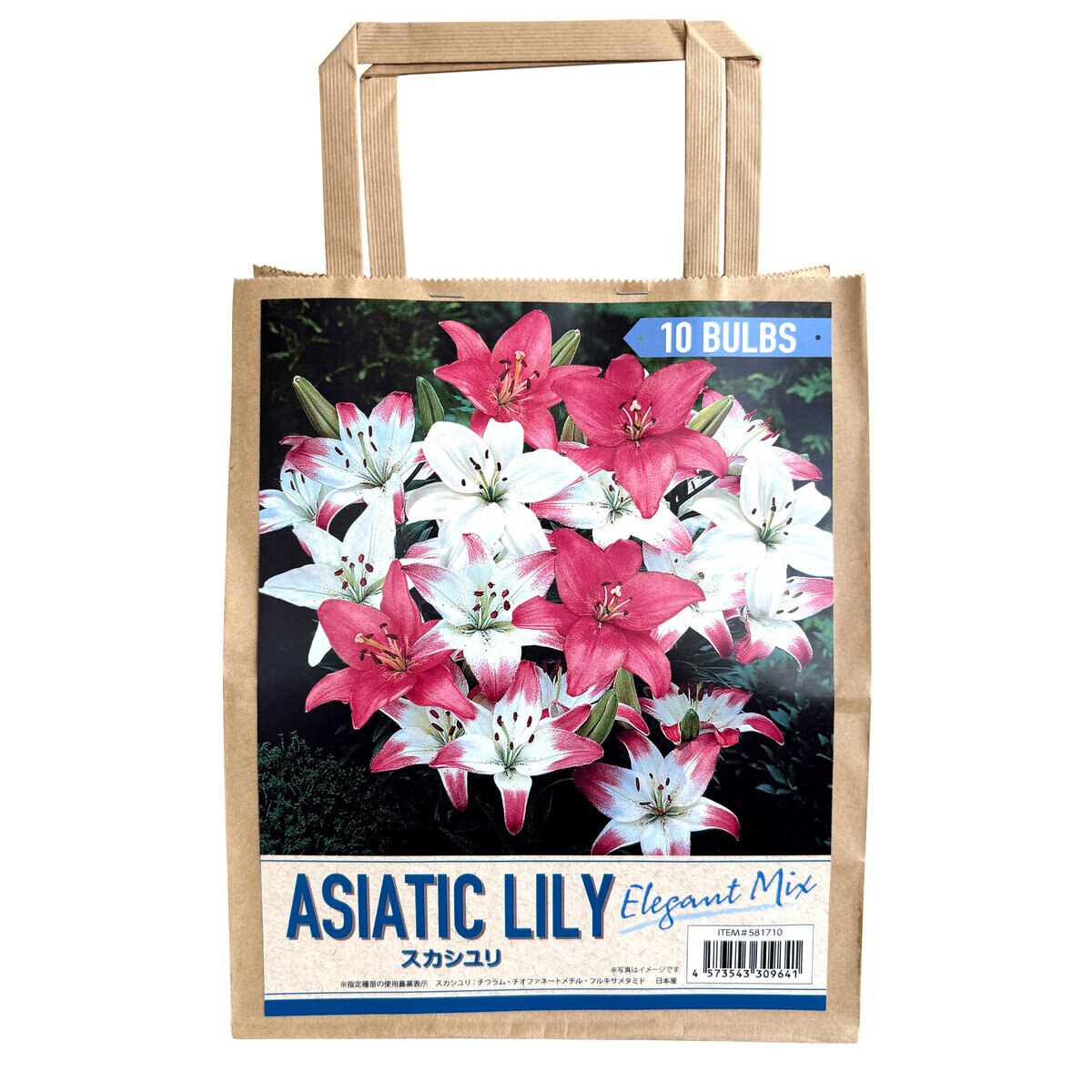 秋植え球根 スカシユリ エレガントミックス 10球 秋植え球根 スカシユリ エレガントミックス 10球