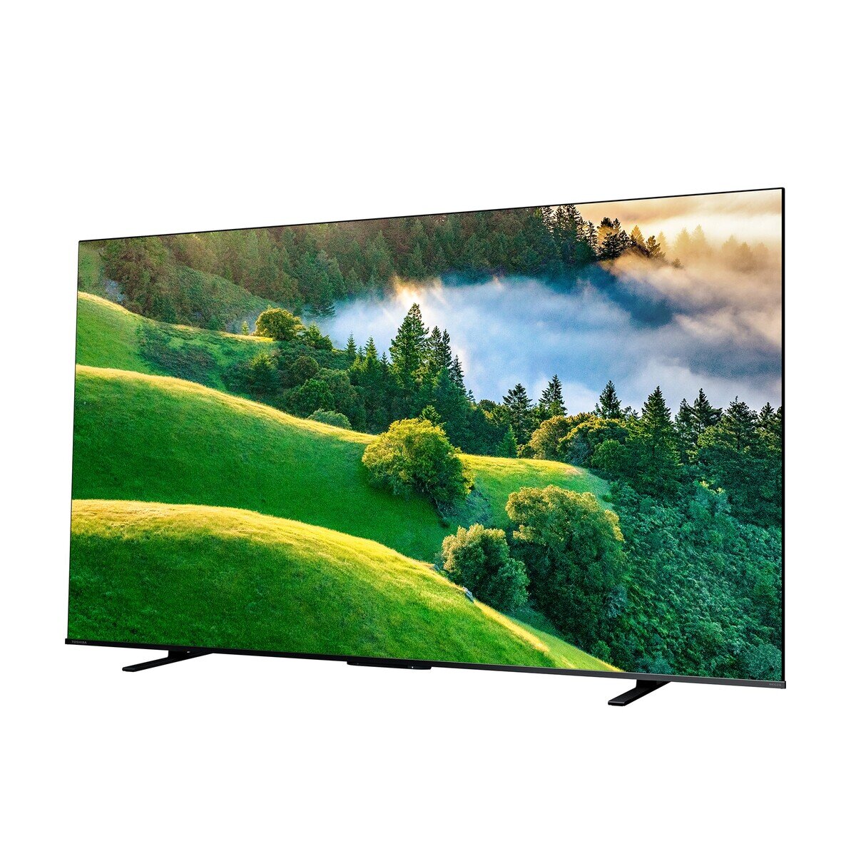 東芝 レグザ 75インチ 4K HDR液晶テレビ 75M550L