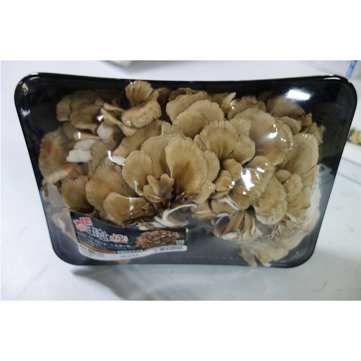 まいたけ500ｇ