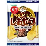 しおビーフ プレミアム スパイスソルト & ビーフ味 50g x 12袋入り