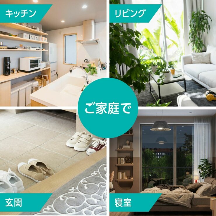 マックスステム ライトトラップ 本体 + 付け替え用プレート 5個 セット