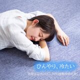 アイリスオーヤマ ラ・クッション クーリング ラグ 185cm x 185cm ネイビー