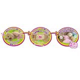 夢ペット いぬ産んじゃった! 夢ペット いぬ産んじゃった!