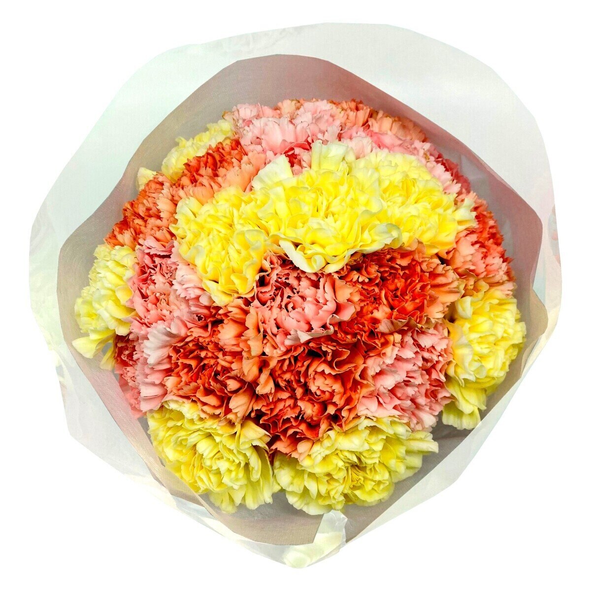 カーネーション 24本 パステルミックス