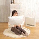 QUADS 省エネ大風量スリムパネルセラミックヒーター QS324 アイボリー