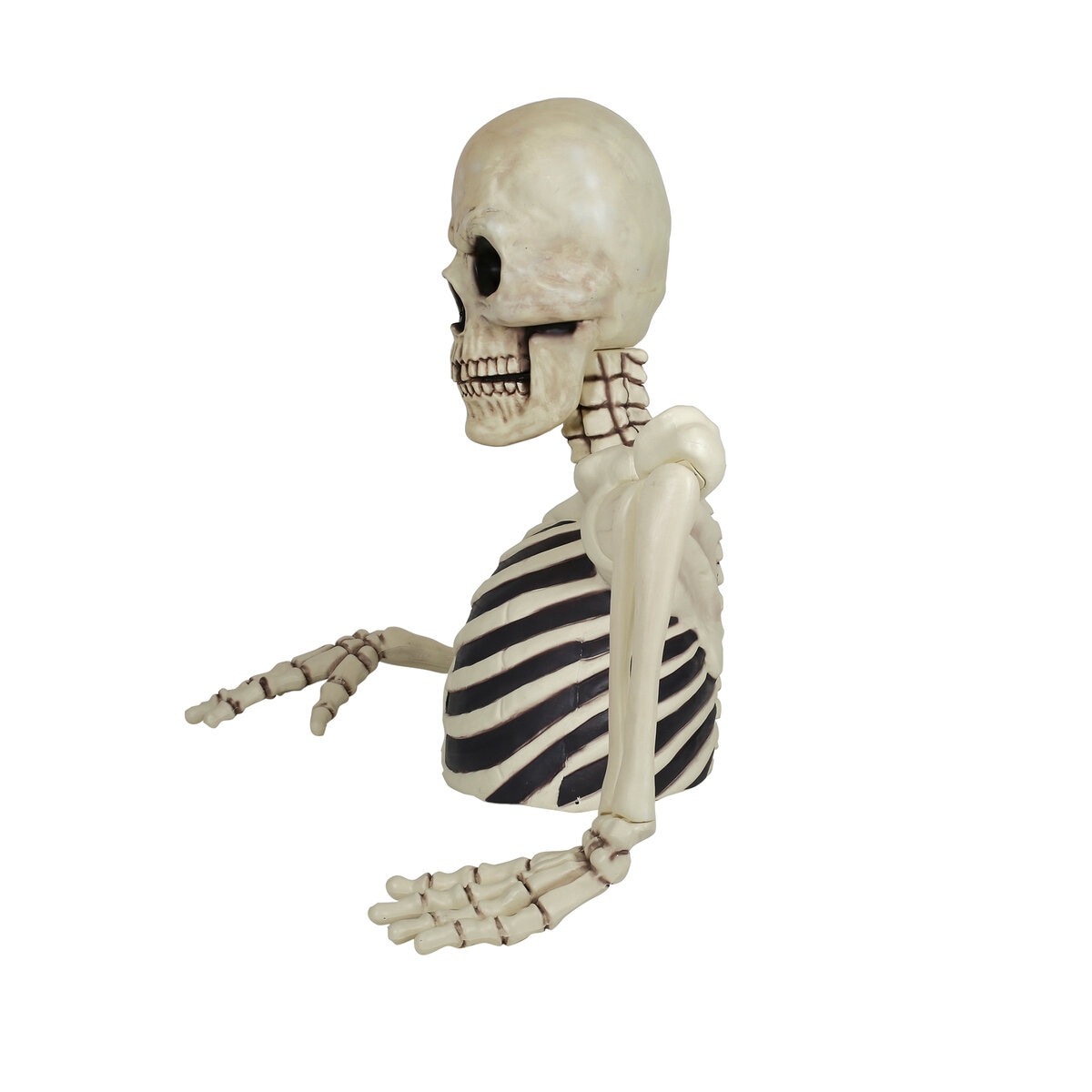 ジャイアント グラウンドブレイキング スケルトン ジャイアント グラウンドブレイキング スケルトン