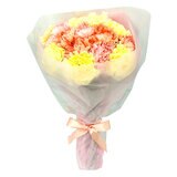 カーネーション 24本 パステルミックス