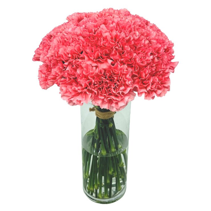 カーネーション 24本 ピンク