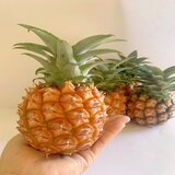 ミニピーチパイン 2kg