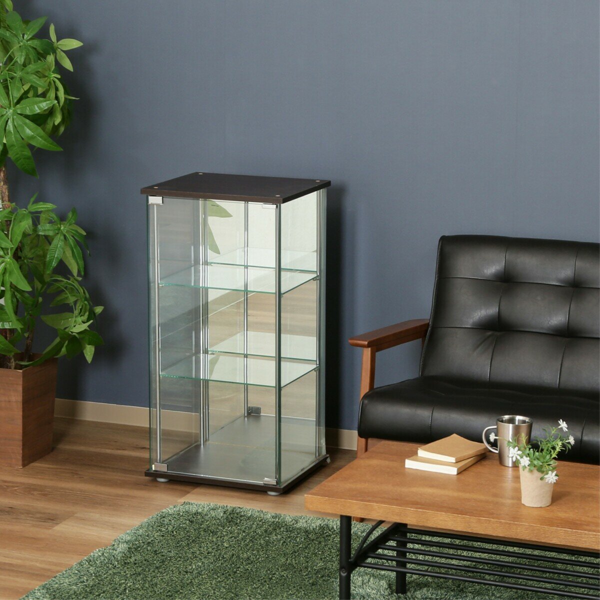 ガラスコレクションケース 3段 (背面ミラー付き) | Costco Japan