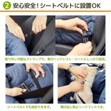 Pipi 3 Way ドライブキャリーベット