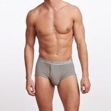 STANFIELDS メンズ ブリーフ 6枚組 S グレー