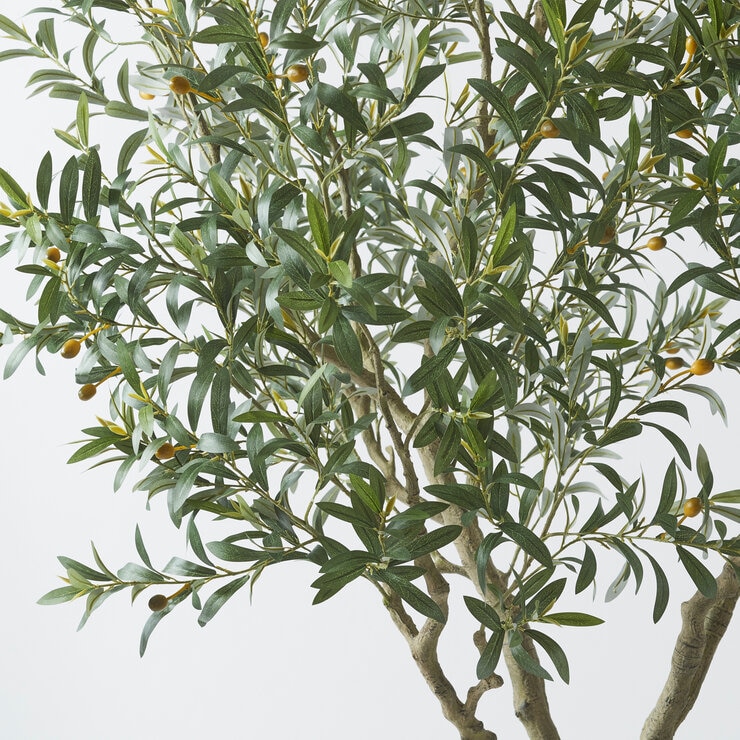 CG HUNTER アーティフィシャルグリーン オリーブ 約244cm