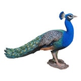 ウービア クジャクの置物 特大 H13234