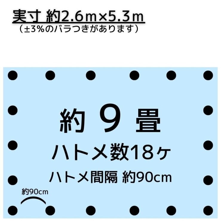 アイネット #3000ブルーシート 2.7 x 5.4m