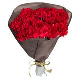 カーネーションの花束 24本 レッド 母の日期間配送 お届け日5月6日～5月11日