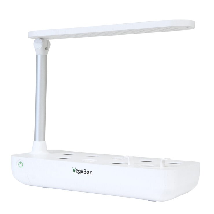 コアファクト べジボックス T ボックス