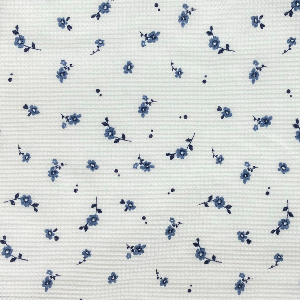 フルーツ オブ ザ ルーム 長袖 ラウンジウェアセット ブルー M