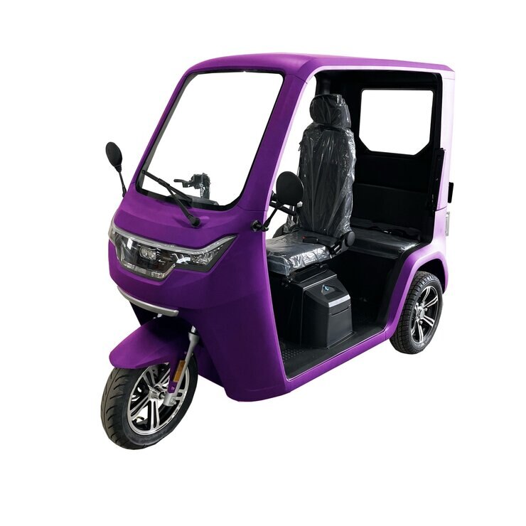 ビークルファン EV トゥクトゥク シングルバッテリー パープル ビークルファン EV トゥクトゥク シングルバッテリー パープル