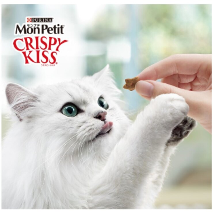 モンプチ クリスピーキッス 6g x 120 愛猫用