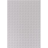 スフィンクス エリア ラグ 160x230cm グレー