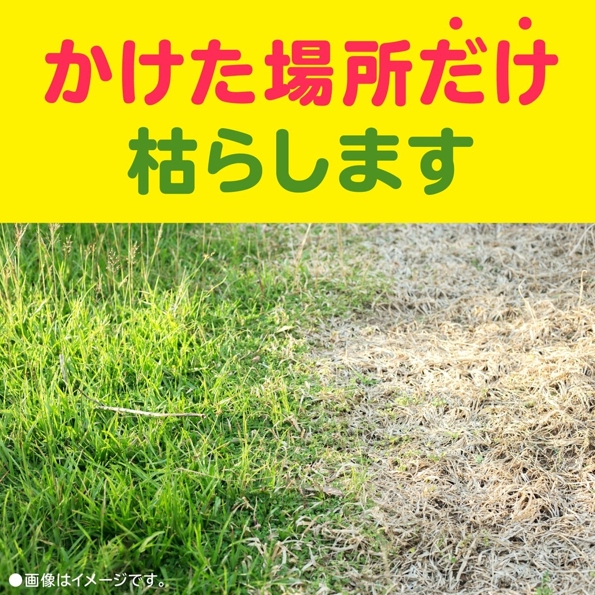 アースガーデン おうちの草コロリ 除草剤 6L