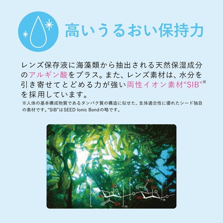 シード2weekPureうるおいプラス 6枚入り シード2weekPureうるおいプラス 6枚入り