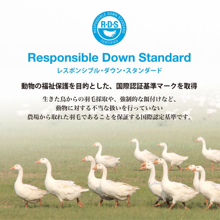 羽毛合い掛け布団 ナチュラルグースダウン95％ クイーン
