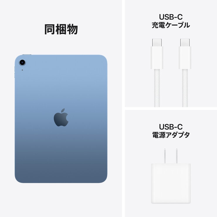 Apple iPad A16 Wi-Fiモデル 128GB - ブルー