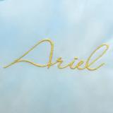 クールハグミークッション プリンセス アリエル