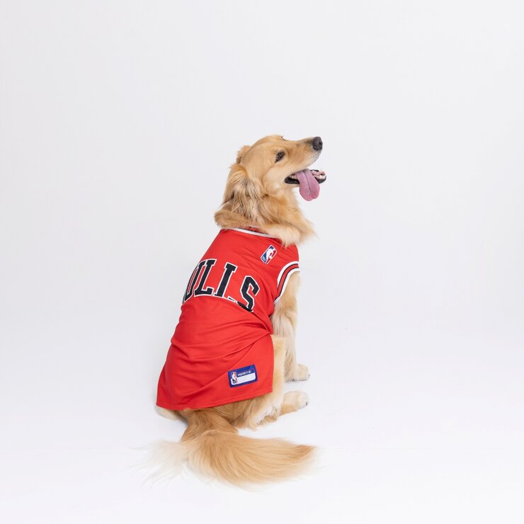 NBA Chicago Bulls ジャージ NBA Chicago Bulls ジャージ
