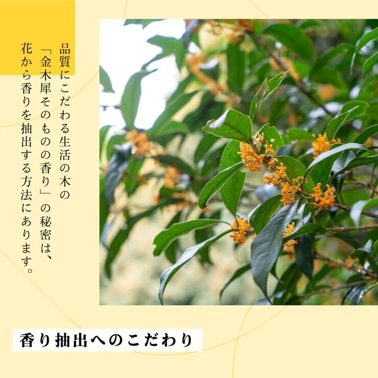 生活の木 ロールオンフレグランス 6mL 金木犀