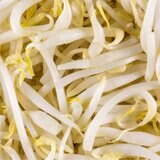 もやし500ｇ