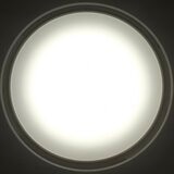 アイリスオーヤマ LEDシーリングライト 12畳 AIスピーカー CL12D-6.0AIT