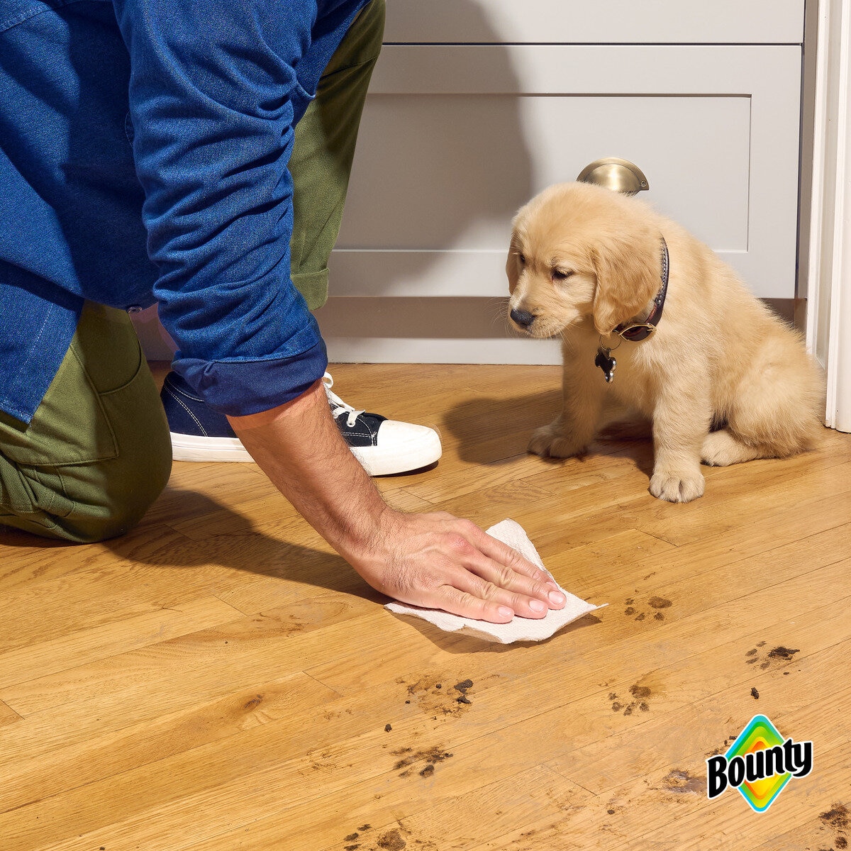 バウンティ ペーパータオル プリント 124カット x 12ロール