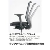 ドーフィン トゥーシンクチェア 肘なし ブラック ドーフィン トゥーシンクチェア 肘なし ブラック