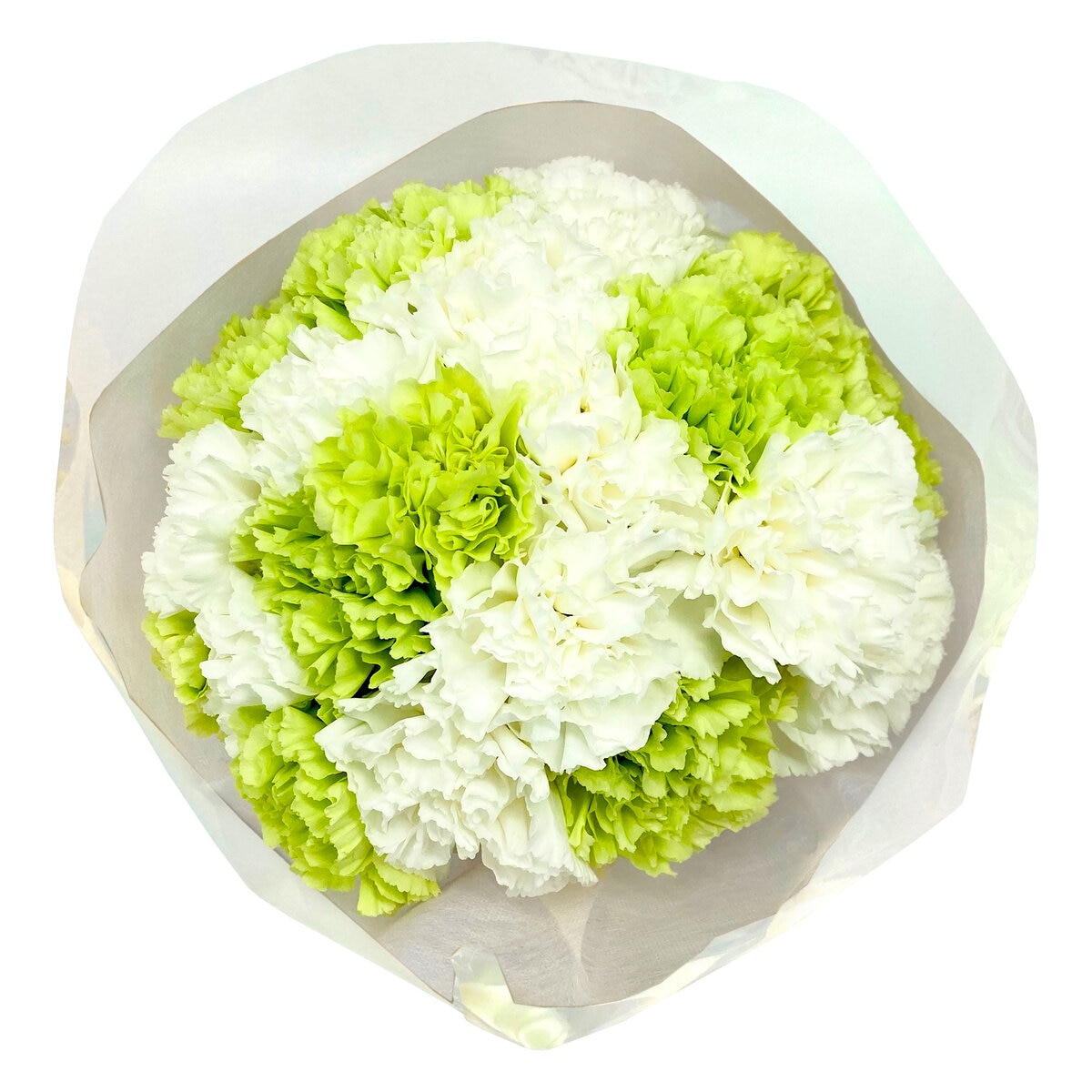 カーネーション 24本 ホワイトミックス