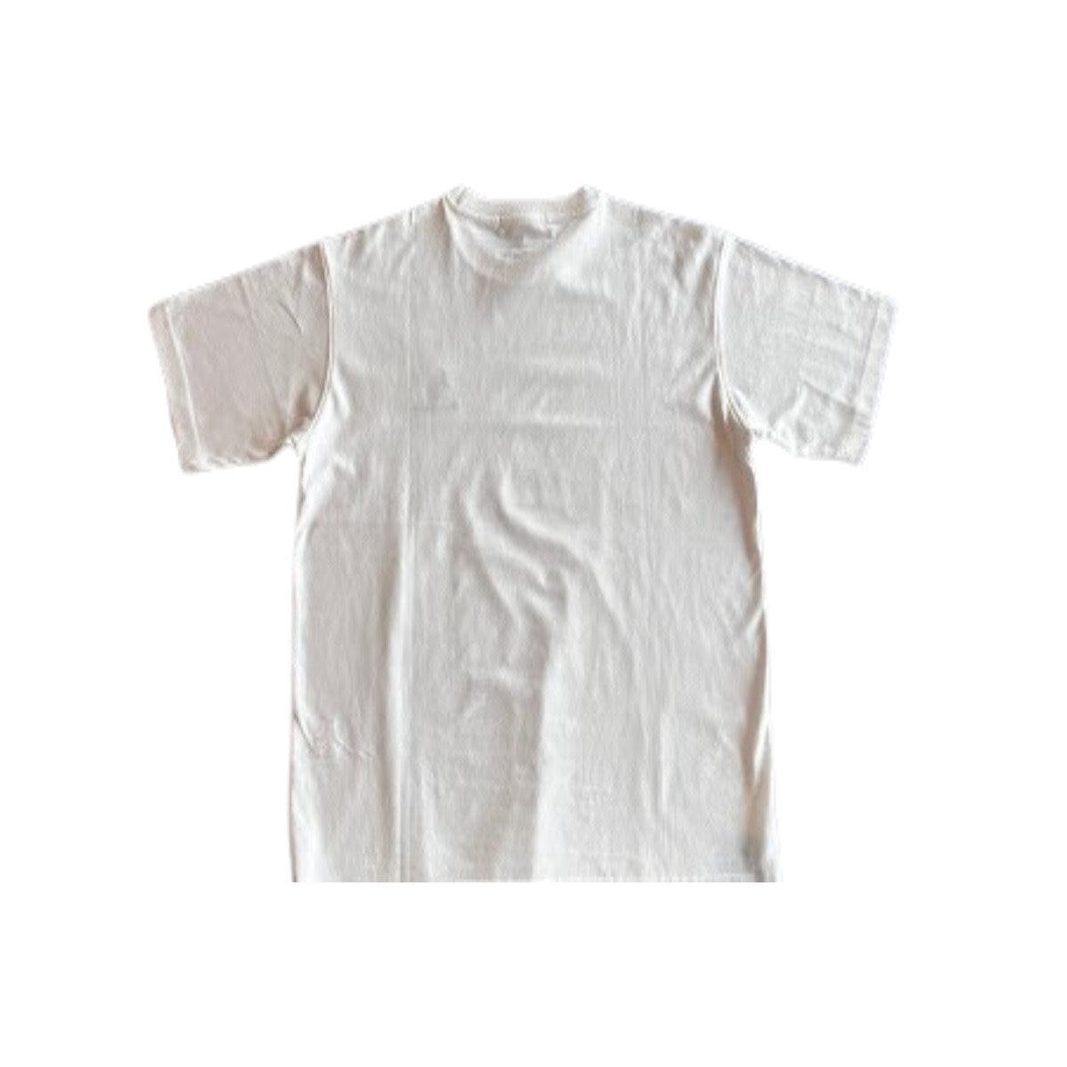 ユーエスポロアッスン メンズティー ホワイト XL