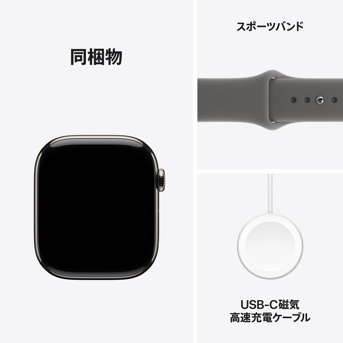 Apple Watch S11 Cellular 42mmナチュラルチタニウムケースとストーングレイスポーツバンド - M/L