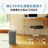 象印 スチーム式加湿器 4L EE-DG50-HA