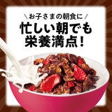 ケロッグ コーンフロスティー イチゴチョコ 600g