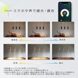 Edison Smart（エジソンスマート）ペンダントライト 引っ掛けシーリング用 ブラック RST-PL02BK