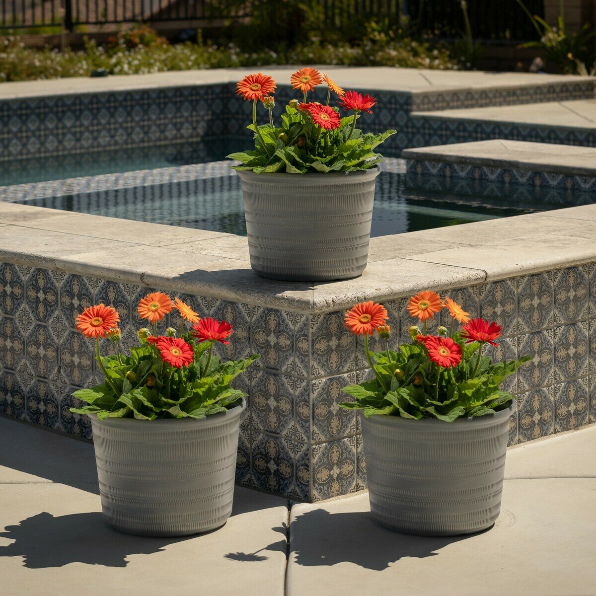 Trendspot Forum 樹脂製プランター 12寸 3個セット