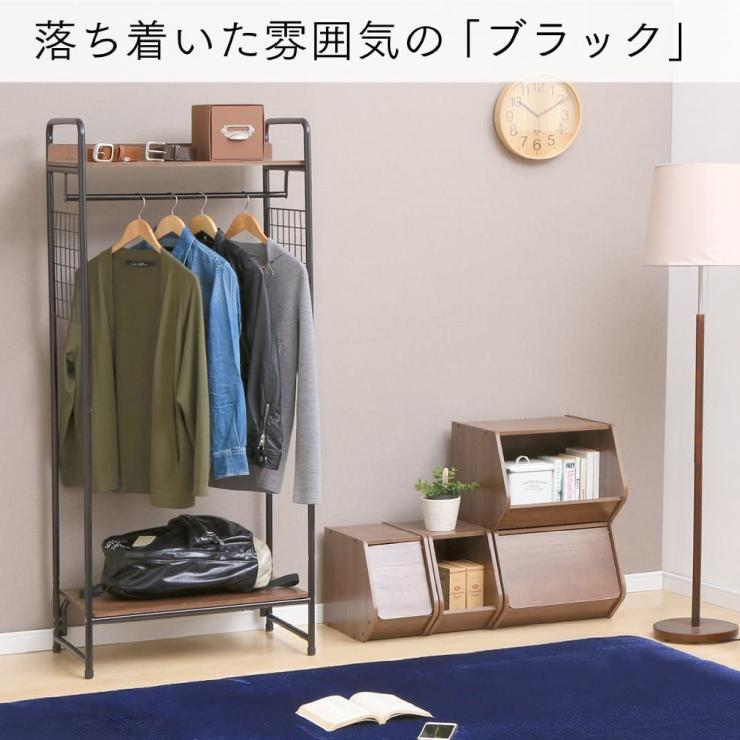 アイリスオーヤマ スタイルハンガー2WAYタイプ プレミアム メッシュパネル付 ブラック PI-B4