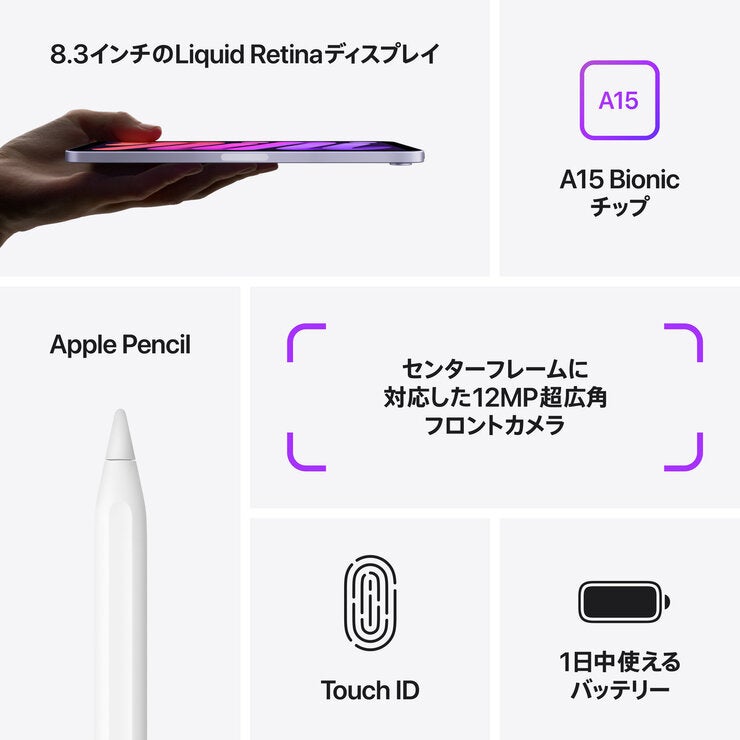 Apple iPad mini (第6世代) 8.3インチ Wi-Fiモデル 256GB ピンク